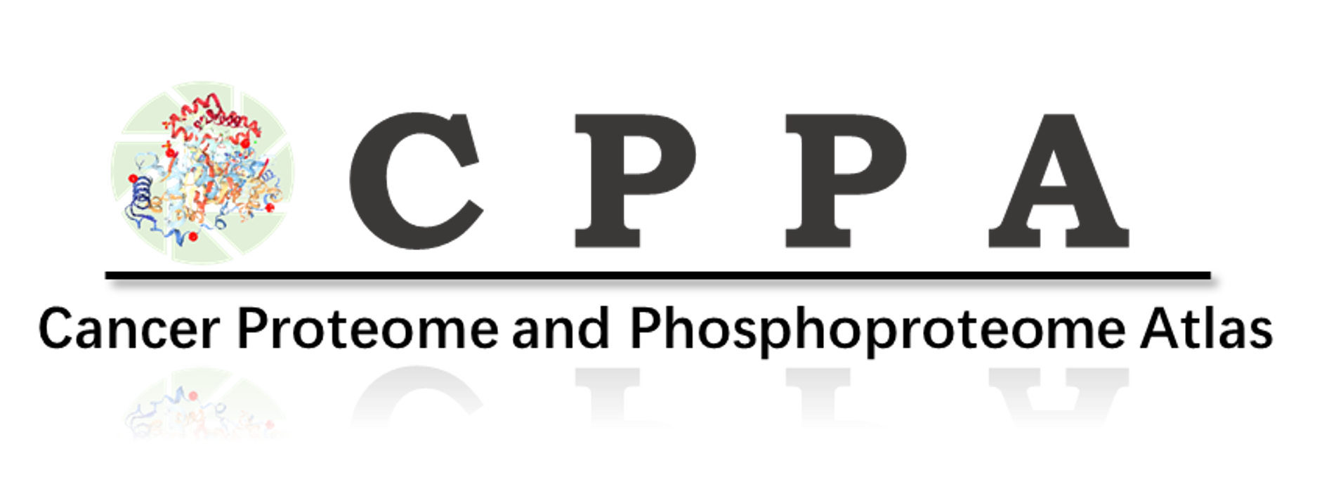 tppa_logo.png